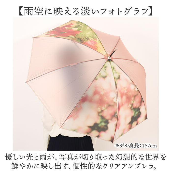 BACKYARD FAMILY「because 傘 ビコーズ B-548336 通販 雨傘 撥水 長傘 ビニール傘 カサ かさ」|傘|