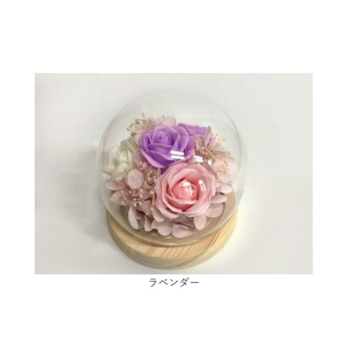 BACKYARD FAMILY「ブリザードフラワ- 通販 ガラスドーム フラワーギフト ガラス製 お花 花 フラワーアレンジメント」|その他|
