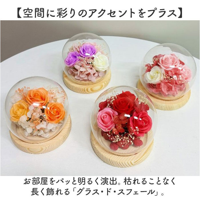 BACKYARD FAMILY「ブリザードフラワ- 通販 ガラスドーム フラワーギフト ガラス製 お花 花 フラワーアレンジメント」|その他|