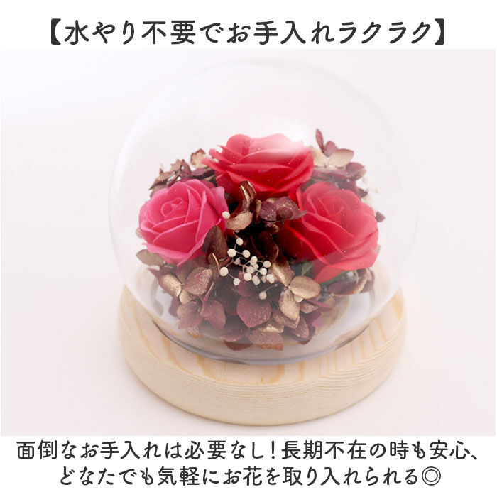 BACKYARD FAMILY「ブリザードフラワ- 通販 ガラスドーム フラワーギフト ガラス製 お花 花 フラワーアレンジメント」|その他|