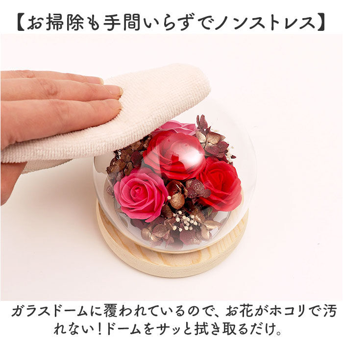 BACKYARD FAMILY「ブリザードフラワ- 通販 ガラスドーム フラワーギフト ガラス製 お花 花 フラワーアレンジメント」|その他|