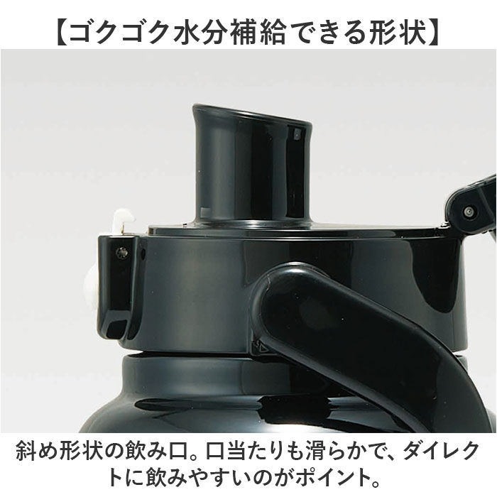 BACKYARD FAMILY「スケーター 水筒 キャラクター std10h 通販 ハンドル付 ダイレクトボトル Skater」|食器・キッチングッズ|