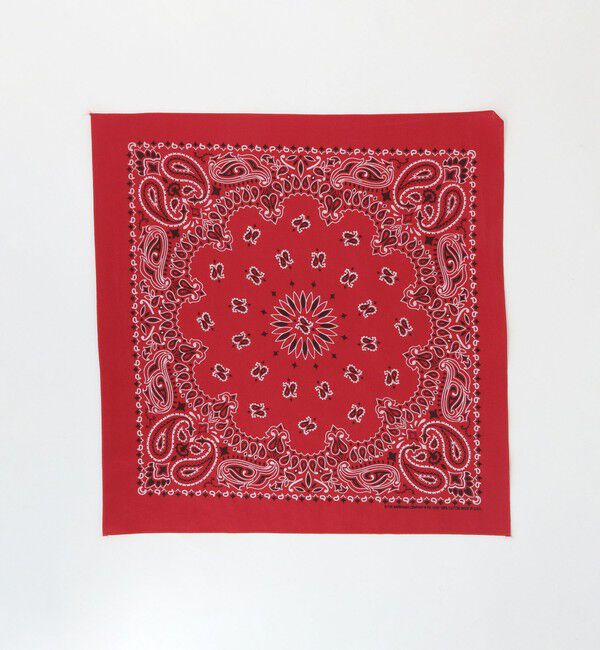 BEAUTY&YOUTH UNITED ARROWS「＜Hav-A-Hank＞ペイズリー バンダナ」|バンダナ・スカーフ|