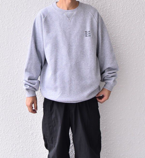 SHIPS any「【WEB限定】SHIPS any: BLAH BLAH BLAH. ワンポイント 刺繍 ラグラン ルーズ スウェット◇」|スウェット・ジャージ|