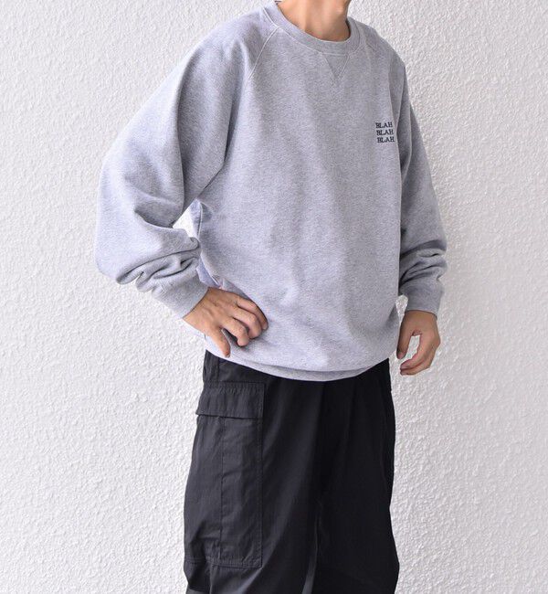 SHIPS any「【WEB限定】SHIPS any: BLAH BLAH BLAH. ワンポイント 刺繍 ラグラン ルーズ スウェット◇」|スウェット・ジャージ|