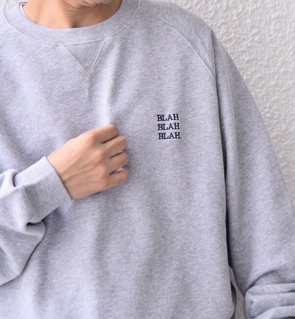 SHIPS any「【WEB限定】SHIPS any: BLAH BLAH BLAH. ワンポイント 刺繍 ラグラン ルーズ スウェット◇」|スウェット・ジャージ|