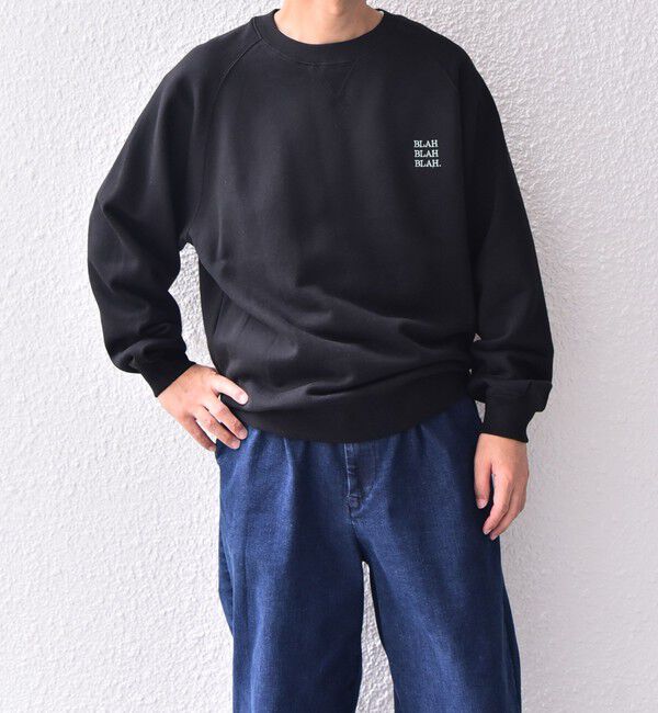 SHIPS any「【WEB限定】SHIPS any: BLAH BLAH BLAH. ワンポイント 刺繍 ラグラン ルーズ スウェット◇」|スウェット・ジャージ|