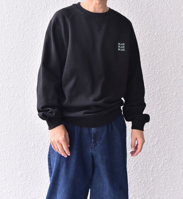 SHIPS any「【WEB限定】SHIPS any: BLAH BLAH BLAH. ワンポイント 刺繍 ラグラン ルーズ スウェット◇」|スウェット・ジャージ|