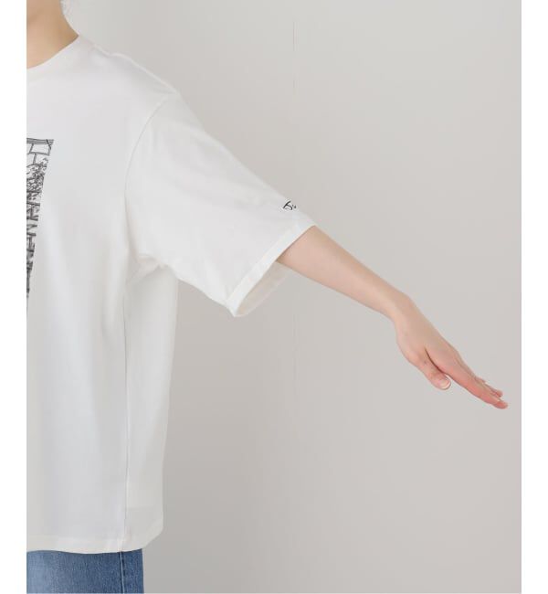 FRAMeWORK「JANE SMITH/ジェーンスミス jay tanju DOWN THERE ss tシャツ」|Tシャツ・カットソー|