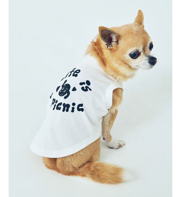 ROPE PICNIC PASSAGE「【Chocomoo&times;ROPE' PICNIC】【DOG】【接触冷感】ロゴTシャツ」|その他|
