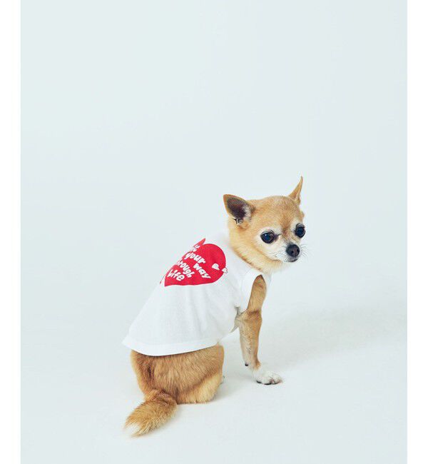 ROPE PICNIC PASSAGE「【Chocomoo&times;ROPE' PICNIC】【DOG】【接触冷感】ロゴTシャツ」|その他|