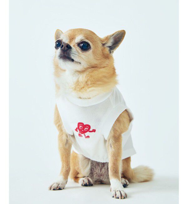 ROPE PICNIC PASSAGE「【Chocomoo&times;ROPE' PICNIC】【DOG】【接触冷感】ロゴTシャツ」|その他|