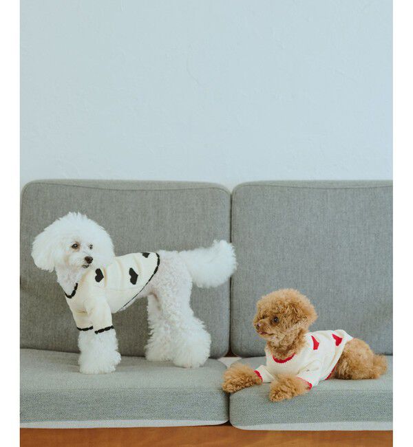 ROPE PICNIC PASSAGE「【DOG】ランダムハートニット」|その他|