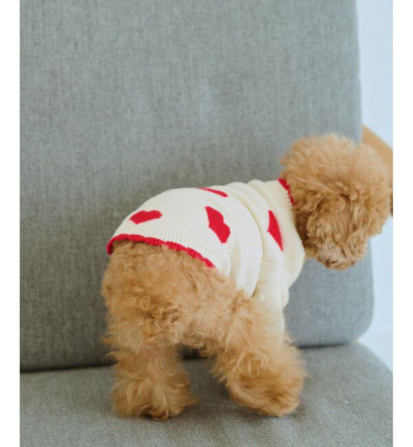 ROPE PICNIC PASSAGE「【DOG】ランダムハートニット」|その他|