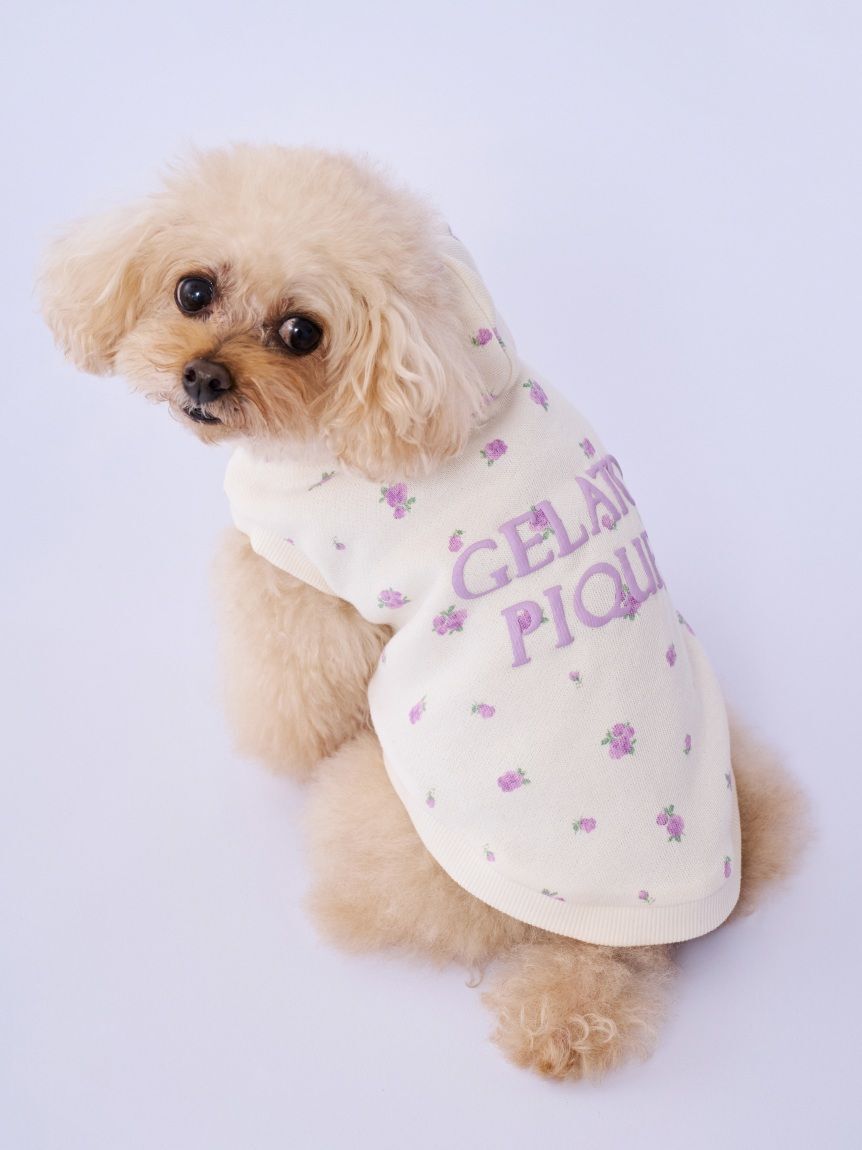  GELATO PIQUE CAT&DOG「【CAT&DOG】フラワー柄裏毛フーディー」|その他|LAV