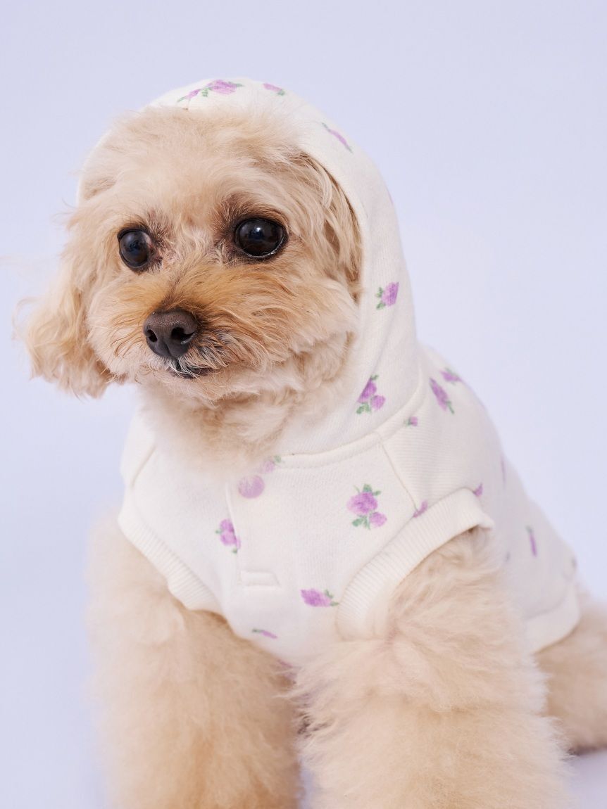  GELATO PIQUE CAT&DOG「【CAT&DOG】フラワー柄裏毛フーディー」|その他|