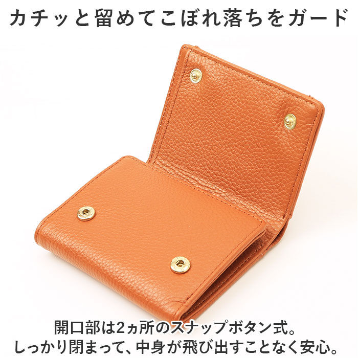 BACKYARD FAMILY「LIZDAYS リズデイズ 財布 lz-65123 通販 二つ折り財布 box型小銭入れ」|財布|