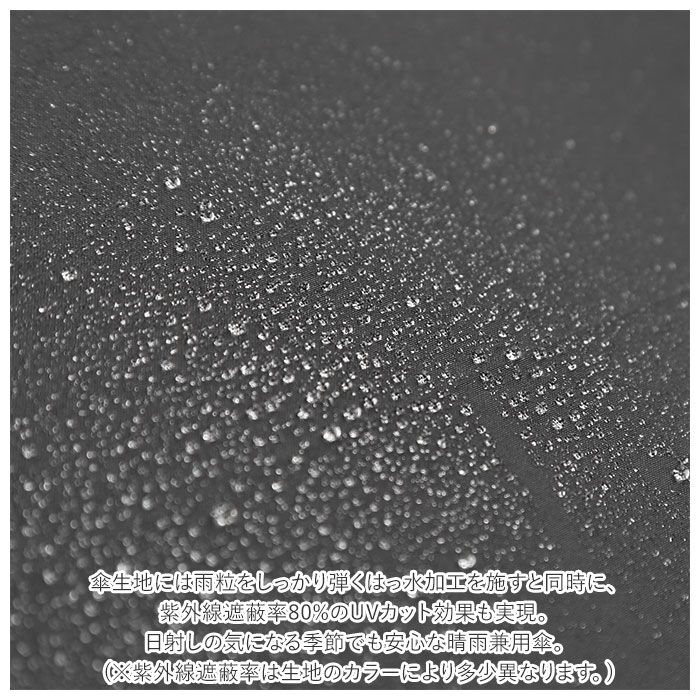 BACKYARD FAMILY「because ビコーズ 雨傘 レディース 長傘 通販 メンズ 12本骨 12フレーム 親骨」|傘|