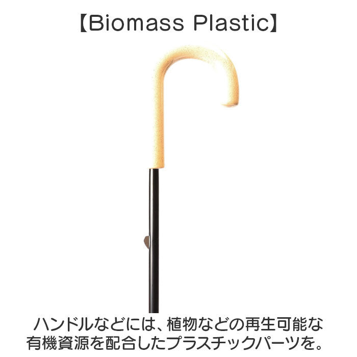 BACKYARD FAMILY「U-DAY ユーデイ キッズ 長傘 50cm 透明窓 通販 雨傘 傘 かさ カサ」|傘|