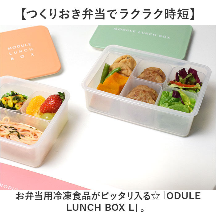 BACKYARD FAMILY「弁当箱 小分けケース付き 通販 お弁当箱 小分け ケース ランチボックス お弁当 MODULE」|食器・キッチングッズ|