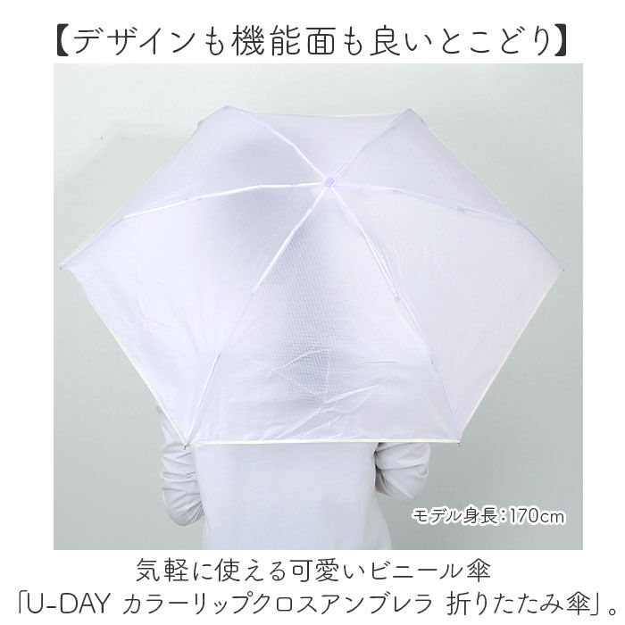 BACKYARD FAMILY「U-DAY 折り畳み傘 D-065964 通販 折りたたみ傘 ビニール傘 傘 ビニール」|傘|