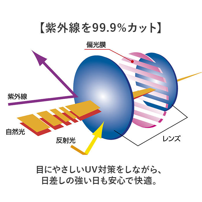 BACKYARD FAMILY「クリップオンサングラス 偏光 はねあげ 通販 日本製 BV-26 エロイコ 偏光サングラス」|サングラス|