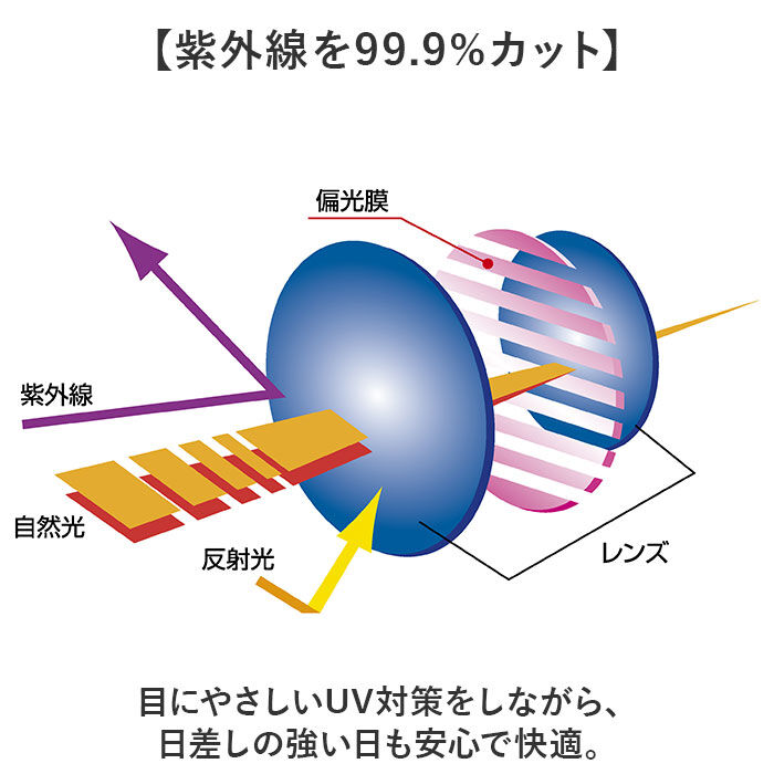 BACKYARD FAMILY「クリップオンサングラス 偏光 はねあげ 通販 日本製 BV-31 エロイコ 偏光サングラス」|サングラス|