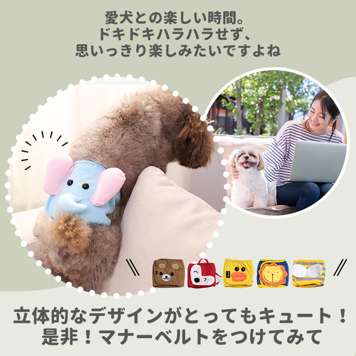 BACKYARD FAMILY「犬 マナーパンツ オス 通販 マナーウェア マナーパッド マナーパット 男の子 小型犬 中型犬」|その他|