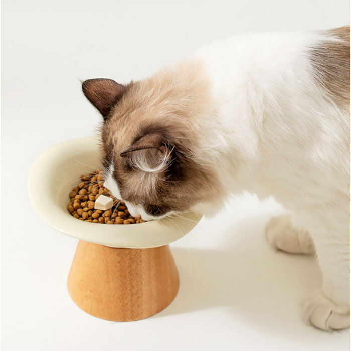 BACKYARD FAMILY「フードボウル 高さがある 通販 フードボール スタンド 餌入れ エサ入れ ペット食器 ご飯皿 ネコ」|その他|