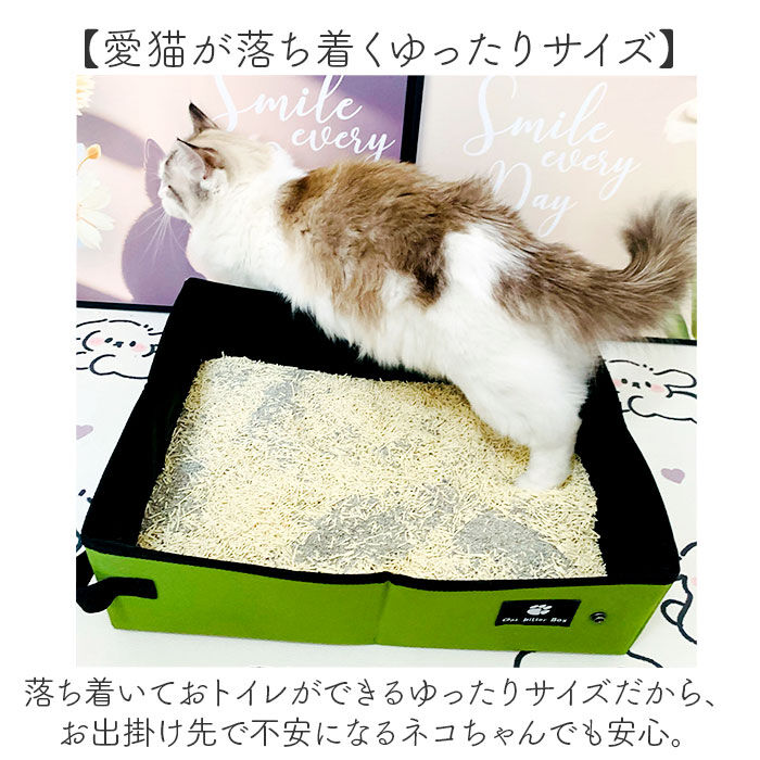 BACKYARD FAMILY「猫 トイレ 折り畳み 通販 折りたたみ ポータブル セカンドトイレ ペットトイレ 猫トイレ」|その他|