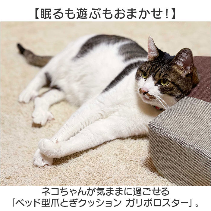 BACKYARD FAMILY「爪とぎ 猫 ベッド 通販 ベッド型 クッション ガリボロスター 明和グラビア GBS-01」|その他|