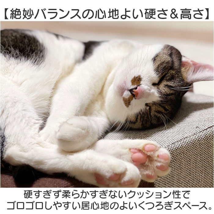 BACKYARD FAMILY「爪とぎ 猫 ベッド 通販 ベッド型 クッション ガリボロスター 明和グラビア GBS-01」|その他|