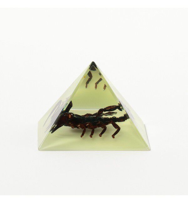 BEAMS「REAL BUG / Pyramid」|その他|