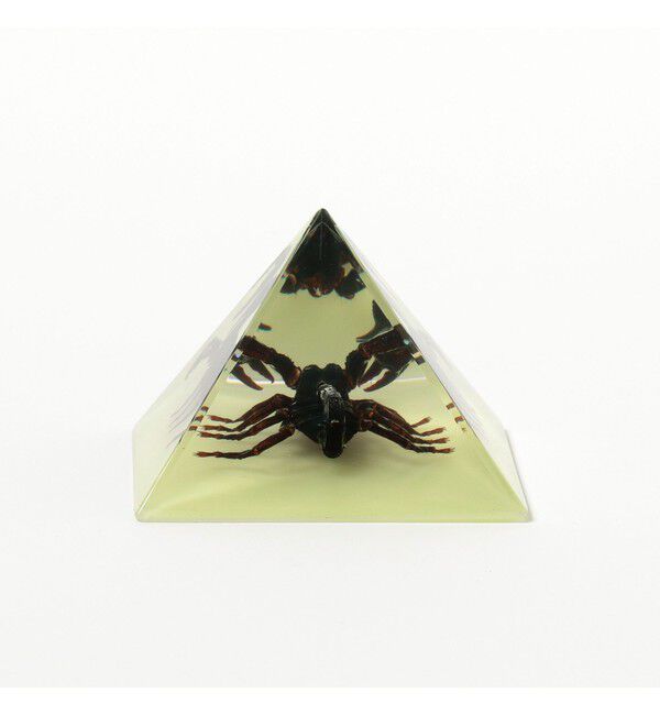 BEAMS「REAL BUG / Pyramid」|その他|