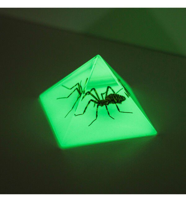 BEAMS「REAL BUG / Pyramid」|その他|SPIDER