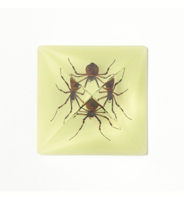 BEAMS「REAL BUG / Pyramid」|その他|