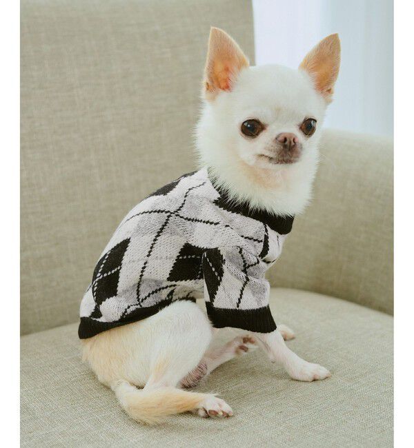 ROPE PICNIC PASSAGE「【DOG】アーガイルニットプルオーバー」|その他|ブラック(01)