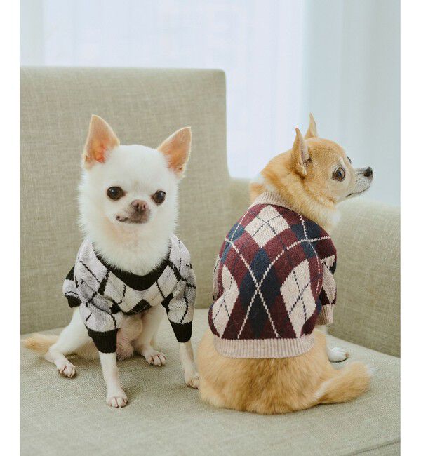 ROPE PICNIC PASSAGE「【DOG】アーガイルニットプルオーバー」|その他|