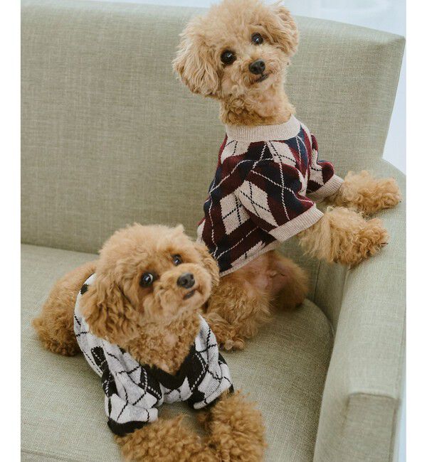 ROPE PICNIC PASSAGE「【DOG】アーガイルニットプルオーバー」|その他|
