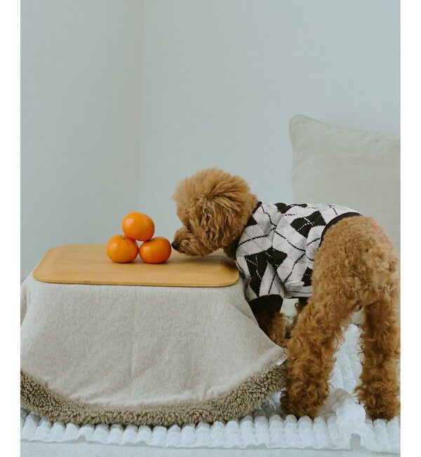 ROPE PICNIC PASSAGE「【DOG】アーガイルニットプルオーバー」|その他|
