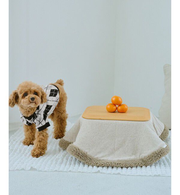 ROPE PICNIC PASSAGE「【DOG】アーガイルニットプルオーバー」|その他|