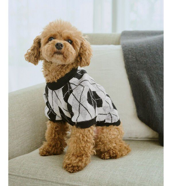 ROPE PICNIC PASSAGE「【DOG】アーガイルニットプルオーバー」|その他|