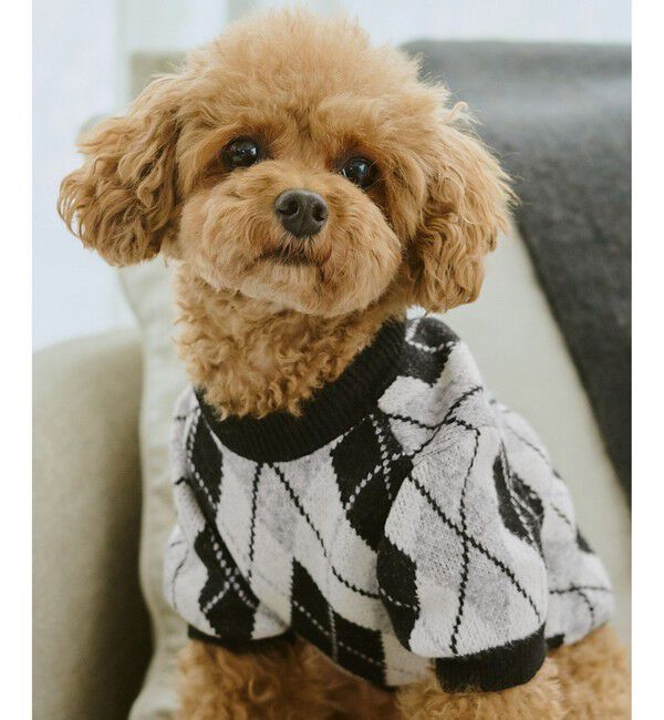 ROPE PICNIC PASSAGE「【DOG】アーガイルニットプルオーバー」|その他|