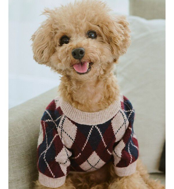 ROPE PICNIC PASSAGE「【DOG】アーガイルニットプルオーバー」|その他|