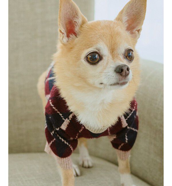 ROPE PICNIC PASSAGE「【DOG】アーガイルニットプルオーバー」|その他|