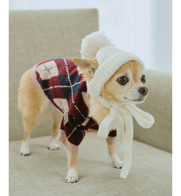 ROPE PICNIC PASSAGE「【DOG】アーガイルニットプルオーバー」|その他|