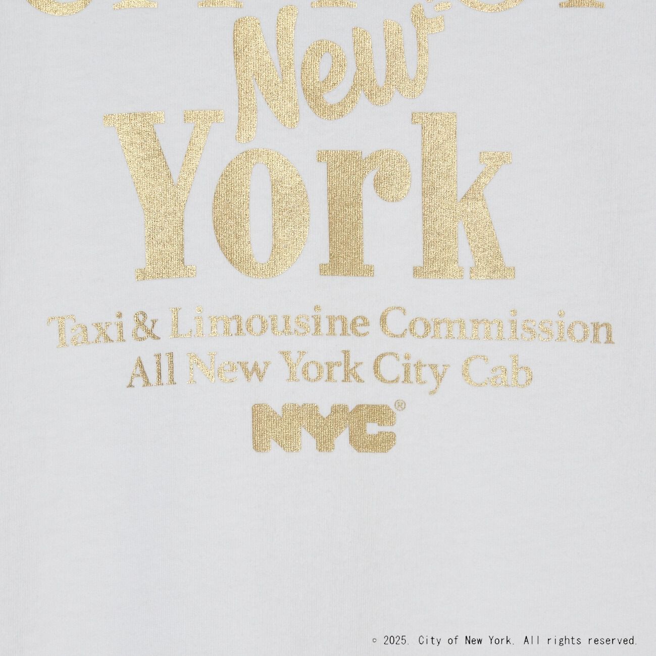  「GOOD ROCK SPEED NYC METALLIC PRINT NS」|Tシャツ・カットソー|