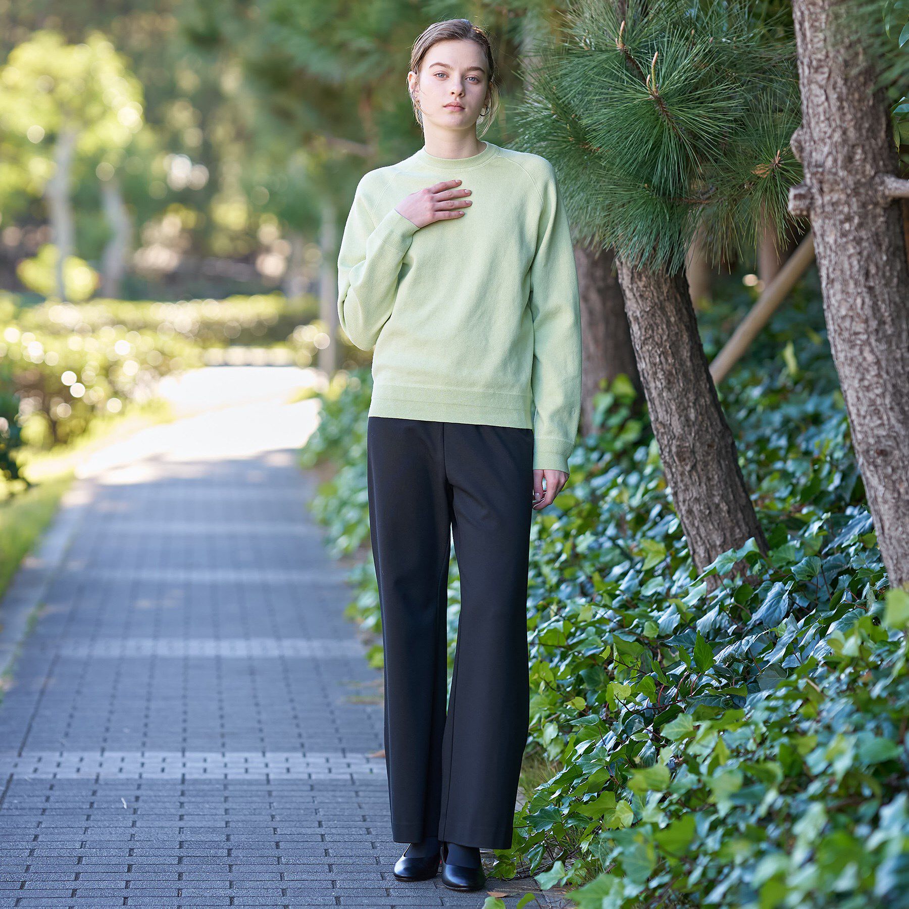 DRESSTERIOR「ウォッシャブルコットンカシミヤニット」|ニット・セーター|