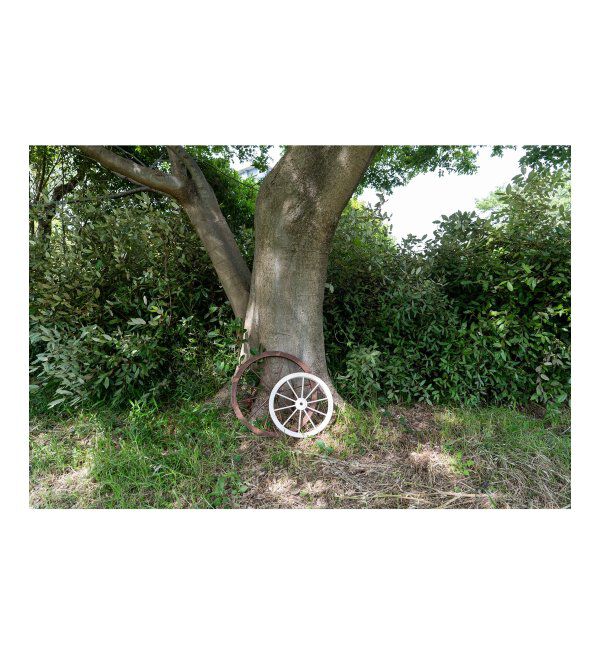 TOKYO DESIGN CHANNEL「ウッド・ホイール L」|その他|