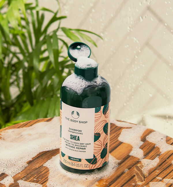 THE BODY SHOP「SB インテンスリペア シャンプー 250mL（香り：シア）」|シャンプー|